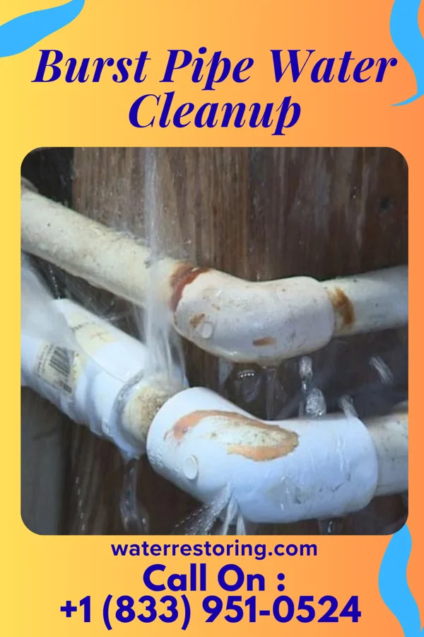 Burst Pipe Water Cleanup in Luke, MD