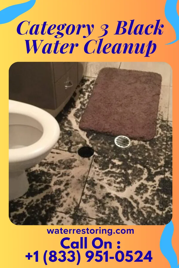 Category 3 Black Water Cleanup in Luke, MD