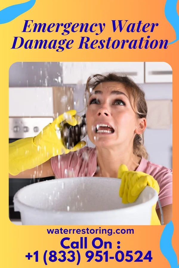 Emergency Water Damage Restoration in Luke, MD