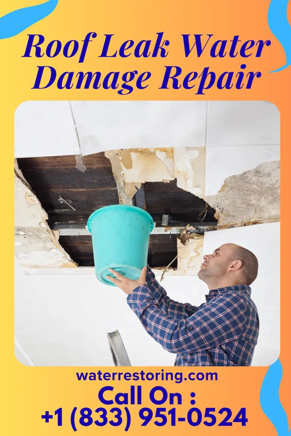Roof Leak Water Damage Repair in Luke, MD