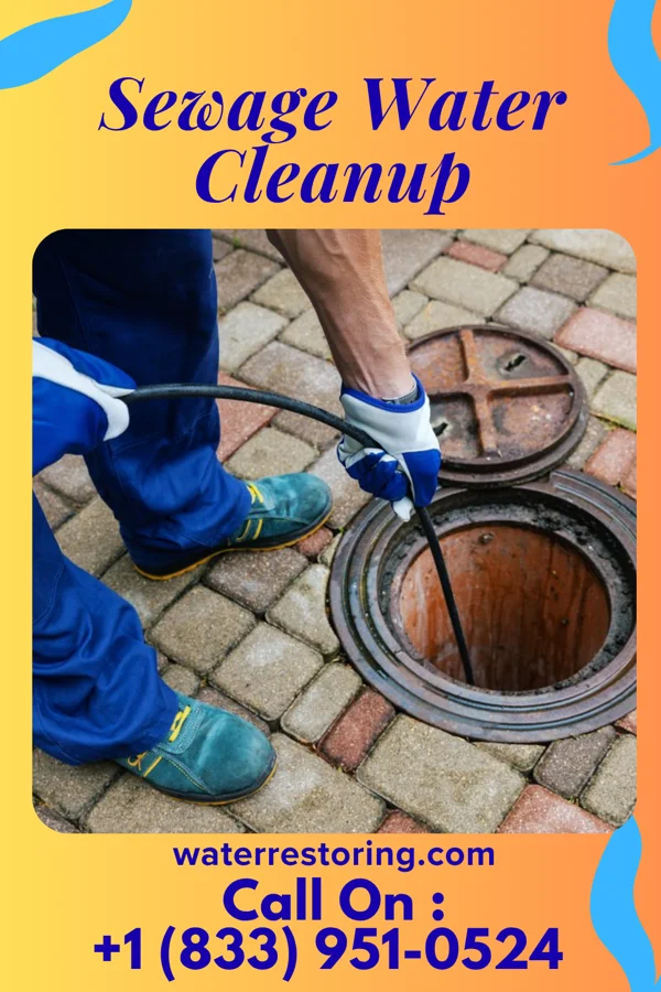 Sewage Water Cleanup in Luke, MD